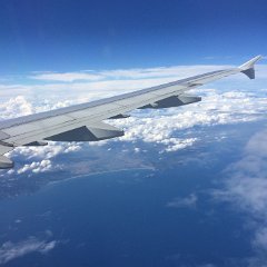 IMG 010